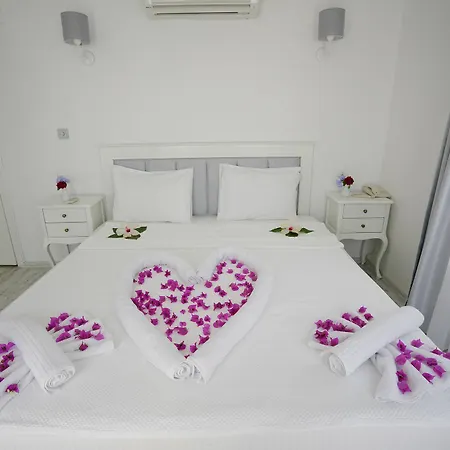 Hotel Art 3*