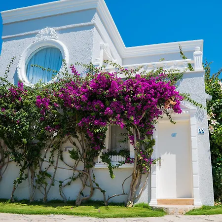 מלון Art יאליקאבאק