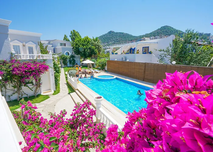 آرت سويتس فندق