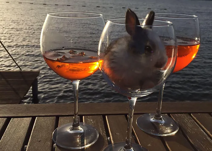 آرت سويتس يالِكافاك