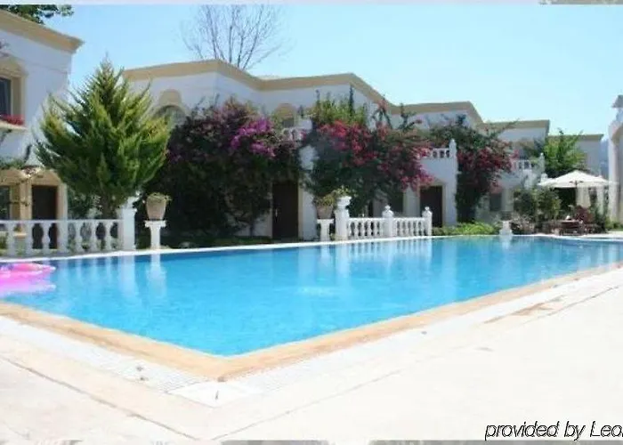 آرت سويتس يالِكافاك